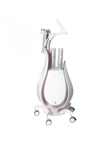 Yoshida lotus 5in1 hydrogen purification device