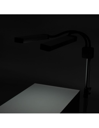 LED lamp for eyelashes and makeup polluks ii type msp-ld01