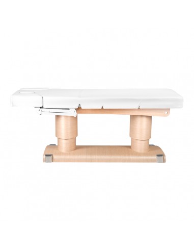 Spa cosmetic bed azzurro 838 4 strong. heated