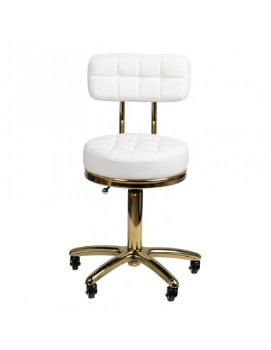 Cosmetic stool gold am-961 white