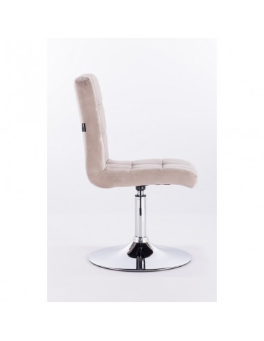 Beige salon chairs Dublin Hroove Salon Chair - BFHR7009N