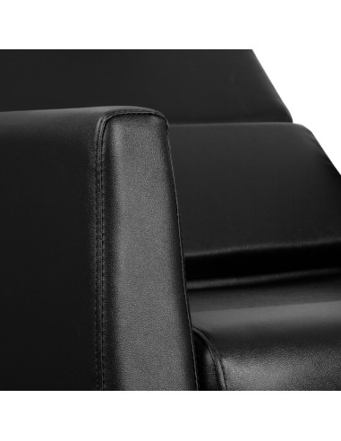 SANTIAGO BLACK GABBIANO HAIR WASH UNIT