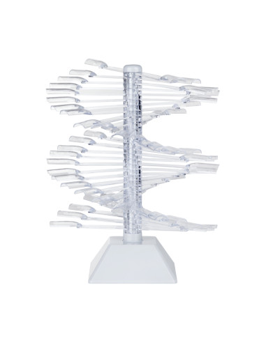 NAIL STENCIL ON WHEEL WZ23