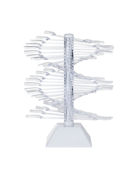 NAIL STENCIL ON WHEEL WZ23