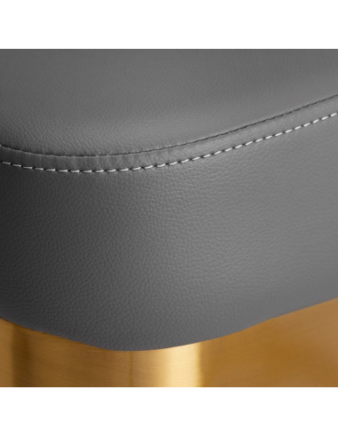 Gabbiano hairdressing chair Granda gold grey
