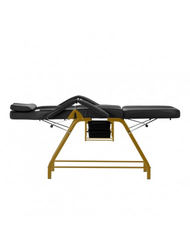 Cosmetic chair 557G with cuvettes black