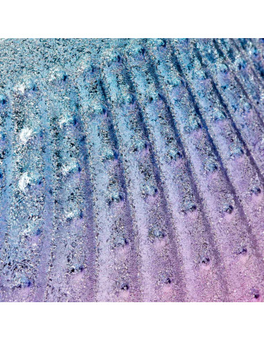 Shell-shaped dusting brush