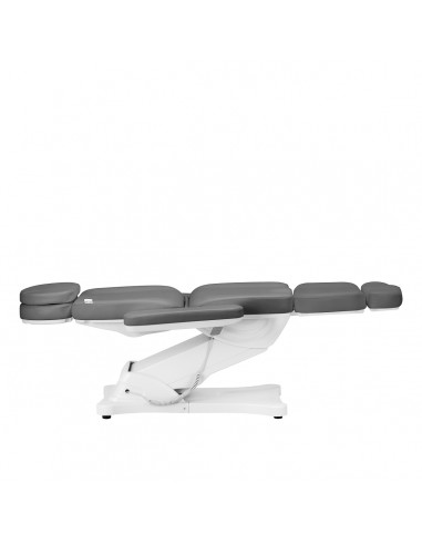 Electric cosmetic chair SILLON CLASSIC 4 motors with cradle gray