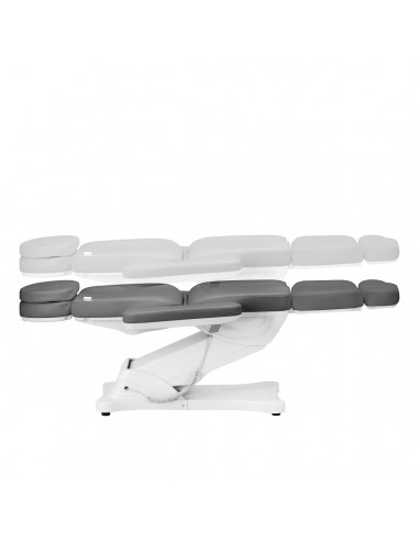 Electric cosmetic chair SILLON CLASSIC 4 motors with cradle gray