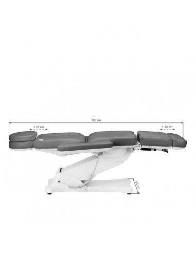 Electric cosmetic chair SILLON CLASSIC 3 motors with pedi cradle gray