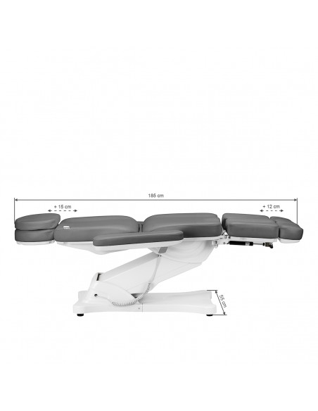 Electric cosmetic chair SILLON CLASSIC 3 motors with pedi cradle gray