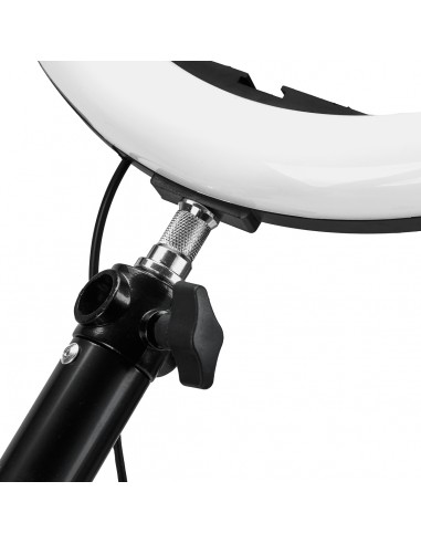 Ring lamp hanger