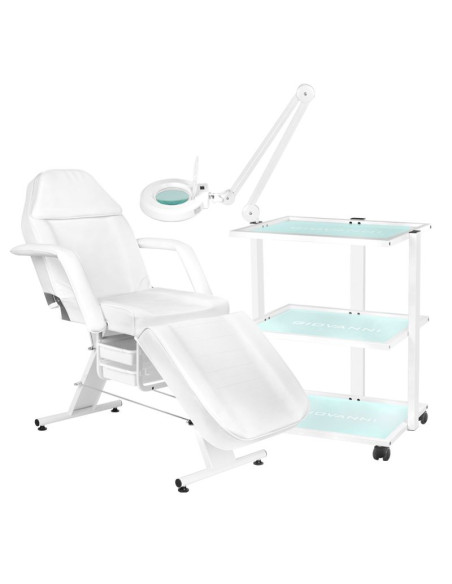 202 basic cosmetic chair + 1040 cosmetic table + s5 led magnifier lamp 202 basic cosmetic chair + 1040 cosmetic table + s5 led magnifier lamp