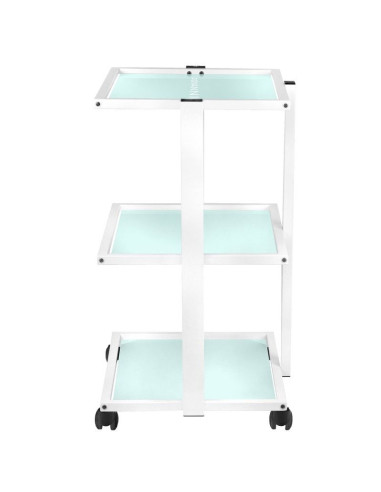 202 basic cosmetic chair + 1040 cosmetic table + s5 led magnifier lamp