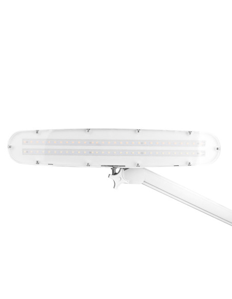 Elegant LED workshop lamp 801 l with a vice reg. white light intensity