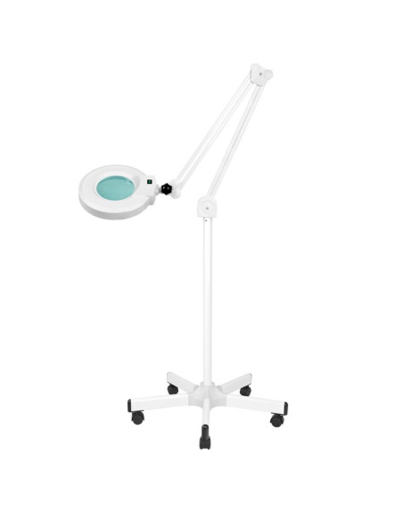 Set of armchair 210 + led magnifier lamp s5