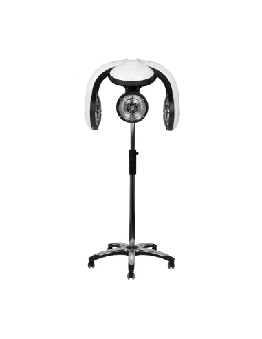 Gabbiano infrazon standing 938 white