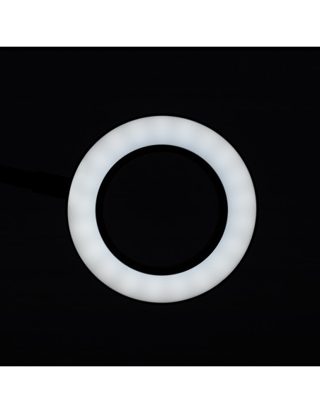 SNAKE RING LED LAMP LAMP ON A DESK BLACK