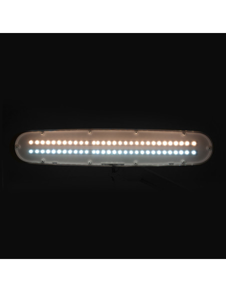 Elegant 801-tl led work lamp with a vice reg. white light intensity and color