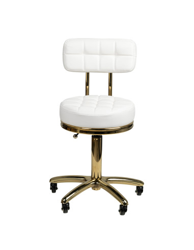 Cosmetic stool gold am-961 white