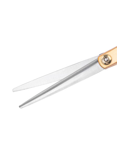 SNIPPEX HAIR SCISSORS 6.0 GOLD