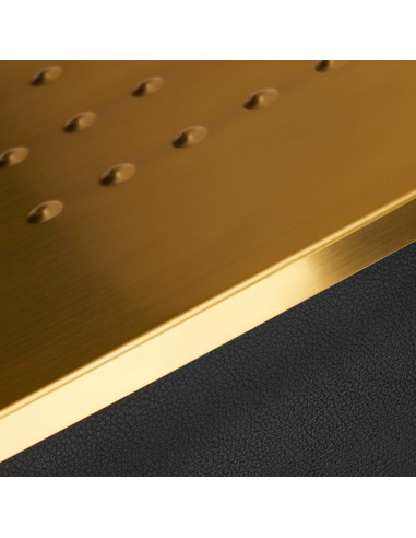 GABBIANO HAIR WASH UNIT EMMA BLACK GOLD