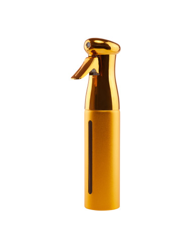 HAIRDRESSING SPRAY PRO GOLD 300ML