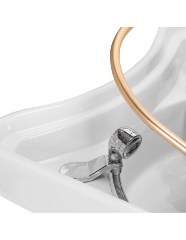 Gabbiano Head Spa 017 hair washing bed beige