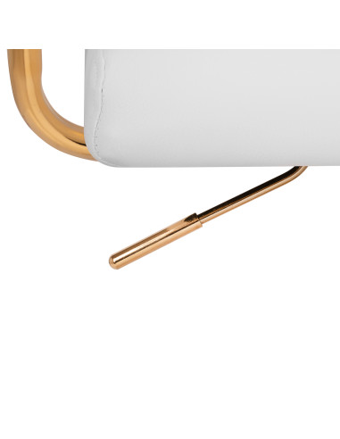 Beauty bed QS-OF211G gold light grey