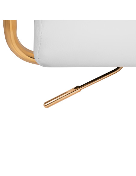 Beauty bed QS-OF211G gold light grey