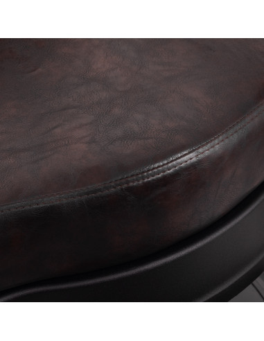 Barber chair Gabbiano President Brown