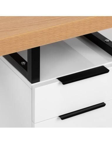 Nail desk MOMO L02 with dust absorber