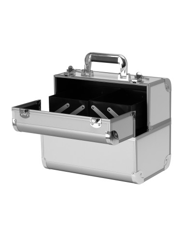 Cosmetic case silver 40