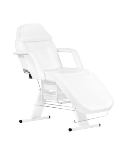 202 basic Beauty bed + 1040 Cosmetic trolley + s5 led magnifier lamp