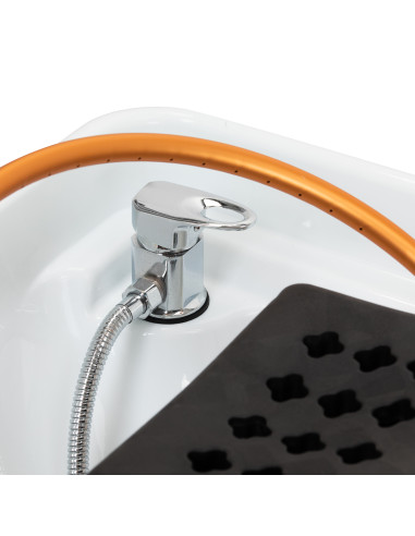 Gabbiano Head Spa Maldives Salon washbasin bed brown