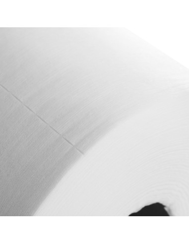 Disposable non-woven towels, roll 30 cm x 120 m, 100% viscose