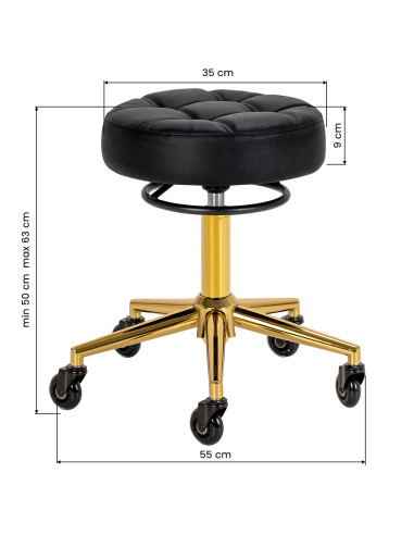 The Gabbiano D054G hairdressing stool gold white