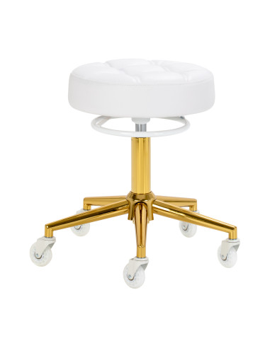 The Gabbiano D054G hairdressing stool gold white