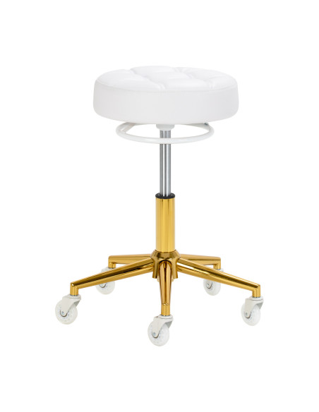 The Gabbiano D054G hairdressing stool gold white