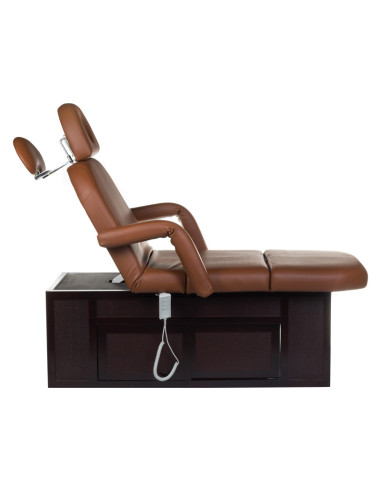 Electric SPA & Wellness Couch BCH-2009 brown