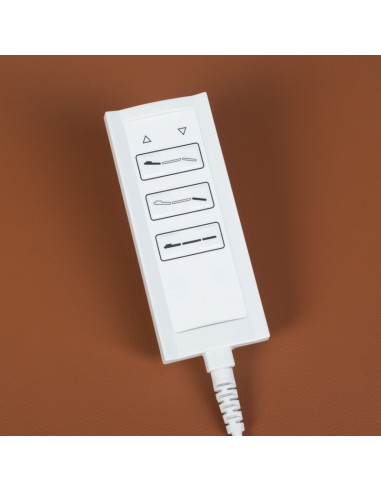 Electric SPA & Wellness Couch BCH-2009 brown