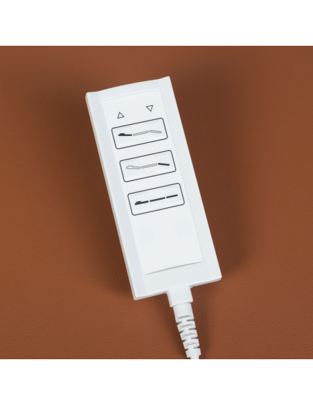 Electric SPA & Wellness Couch BCH-2009 brown