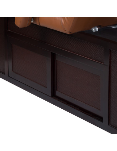 Electric SPA & Wellness Couch BCH-2009 brown