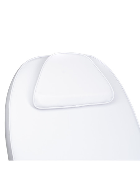 Cosmetic Massage Bed BD-8241 Pine