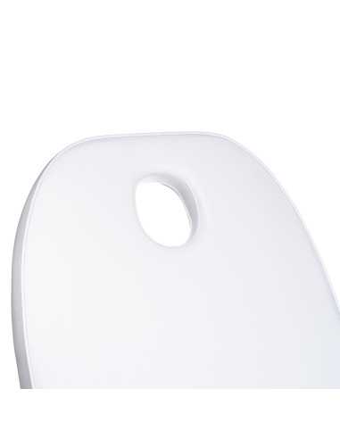 Cosmetic Massage Bed BD-8241 Pine