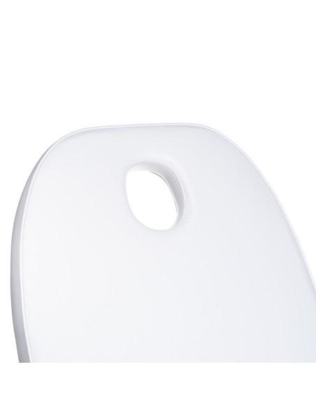 Cosmetic Massage Bed BD-8241 Pine