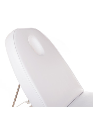 Cosmetic Massage Bed BD-8241 Walnut