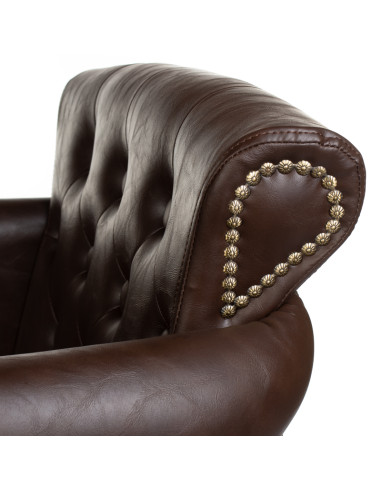 ALBERTO BH-8038 brown Styling chair