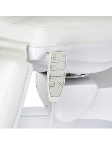 Electric Beauty Chair BR-6672 Professional Salon Treatment Latte | Bella Furniture Ireland