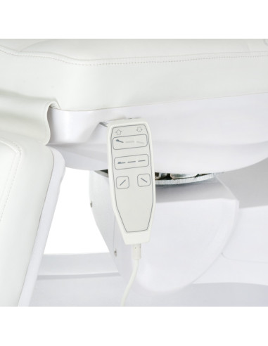 Electric Beauty Chair BR-6672B Latte | Ireland